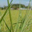 샤인빌 시니어스 너싱홈 이미지