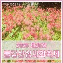 영광리조트 | 2025 영광 불갑산 상사화축제 방문 후기｜개화시기·주차·숙소 솔직 리뷰