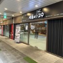 싸움의고수세종