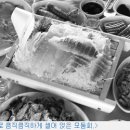 별미준치회 이미지