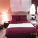 담양 반딧불 이미지