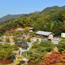 박달재자연휴양림 | 사람 많은 관광지 말고 숲으로, 박달재자연휴양림 미리 조사해봤다