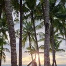 🌴[보라카이 여행] 1일차 자유패키지 보라카이 여행기록