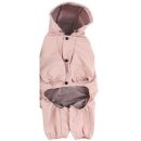 핑크퍼피 이미지