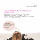 코디펫 - 화성시 매송고색로 368 | 코디펫