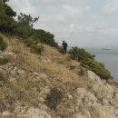 진도약초 이미지