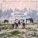 제주세계자연유산센터 세계유산전시관 이미지