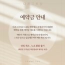 뽀숑그루밍 | 믿고 맡기는 강아지 미용샵, 인형 된 뽀숑이들 공개(ft. 다온그루밍)