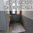 하임 A | 파주 곰팡이 가득한 베란다, 규조토하임 친환경 페인트로 환골탈태!
