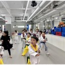 대한태권도 | 각화동태권도 아이를 위한 안전하고 건강한 선택, 세정태권도 후기