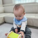 오감발달통합놀이 6-12개월 B | 6개월 아기장난감 몬테소리교구 원목 장난감 피카비 플레이키트 에센셜 구독 서비스