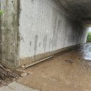 양편농장 이미지