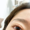 포헤뷰티
