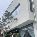 새실오브앰비언스