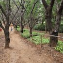 전재울근린공원 이미지