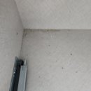 극동아파트 | [부산 수영구 이사청소후기] 민락동 극동아파트 부분청소