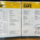 커피인더 카툰 | 홍대 24시간 만화카페 ㅣ 카툰플러스 후기 문화카페의 끝판왕