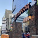 강남역 술집 | 치킨 야장하면 꼬끼오 장작구이(내돈내산)
