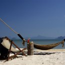 파라다이스 이미지