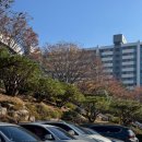 칠암도서관 공연장 | 김해 맘님들 주목! 칠암 도서관 재오픈 한데요. ‼️[김해 주말 나들이 갈만한 곳]