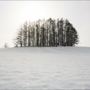 홋카이도 이미지