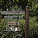 꼼지의 작은세상 이미지