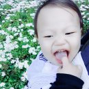 (주) 리베도