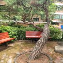 창조영농조합법인 이미지