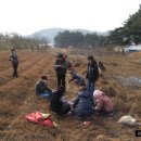 굿모닝농장2 이미지