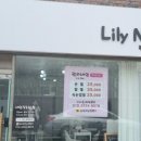 네일릴리 이미지