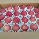 양촌농원 1농장 이미지