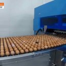 한솔마트 이미지