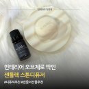 오래오래 함께가게ㅣ감성 인테리어 센틀렉 스톤 디퓨저 오브제 후기