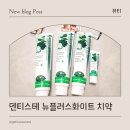 잇몸치약, 덴티스테 뉴플러스화이트 치약 실사용 후기