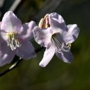 동물의왕국 동물병원 이미지