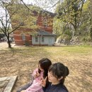 장터식육식당 이미지