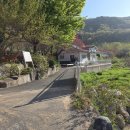 남산 마을회관 앞 | 밀양 종남산 진달래축제 등산코스 남동마을회관 미덕사 정상