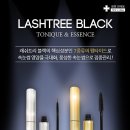 블랙래쉬 이미지