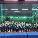 문경초등학교병설유치원 이미지