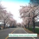 석구미펜션 이미지