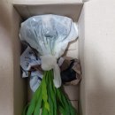 원진농원 이미지