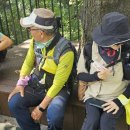 허밍웨이길 이미지