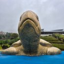 동의보감촌상설마당극공연 | 몸과 마음이 쉬어가는 곳 경남 산청 🌿동의보감촌 여행기 경남 산청 🌿동의보감촌 재방문 후기