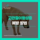 성일동물병원 이미지