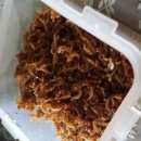 산촌편지