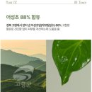 [50명 모집] ✨수분진정 갈망러 집합✨ 제이엠솔루션 어성초 88 토너로 피부 컨디션 최상으로 끌어올려↑↑💚 이미지