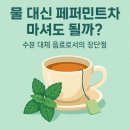 물 대신 페퍼민트차 마셔도 될까? 수분 대체 음료로서의 장단점 이미지