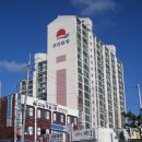 달맞이 호두네 동물병원 이미지