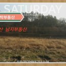 남지부동산 이미지