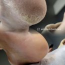 리풋 이미지